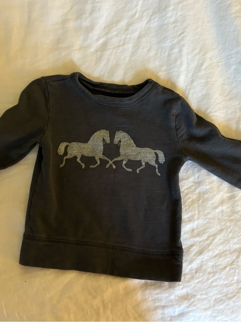 Crewcuts Grey Sweatshirt with Metallic Horse Graphic
